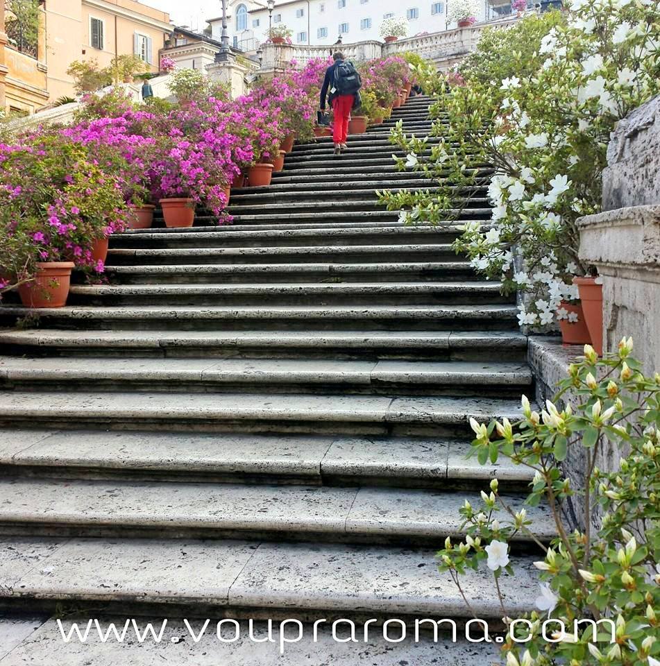 Piazza di Spagna - flores na Escadaria Trinità dei Monti - Blog VoupraRoma