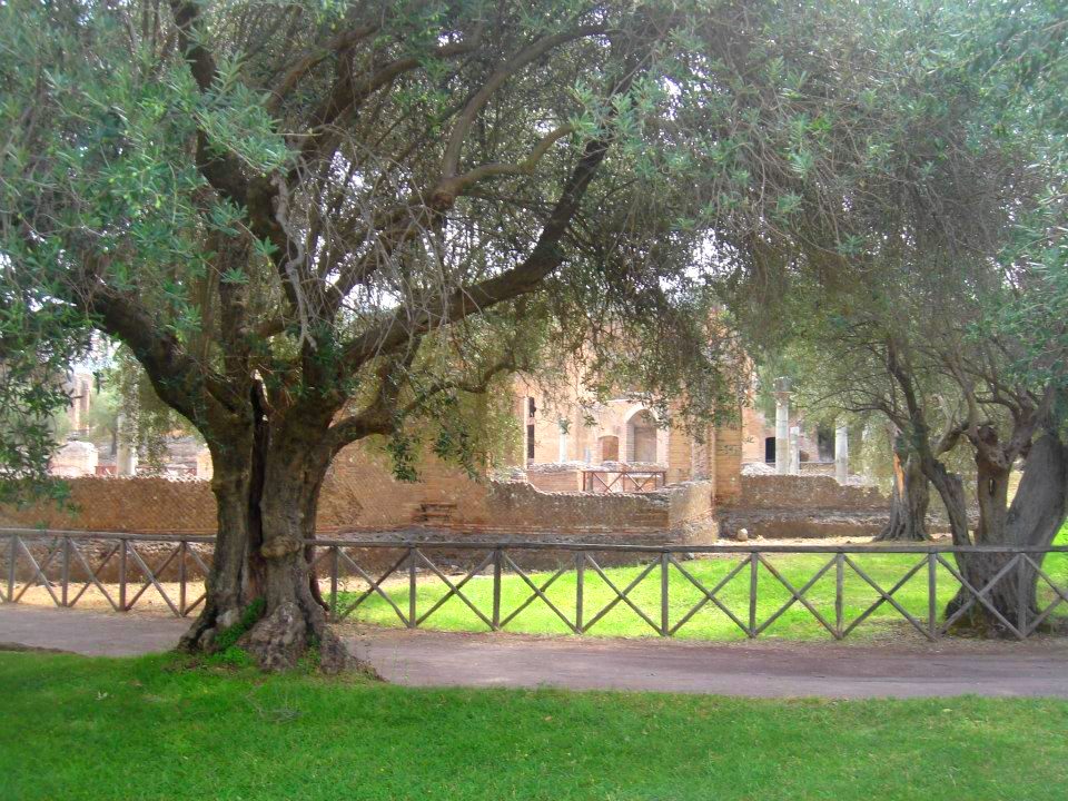 Villa Adriana - Tivoli - Perto de Roma 