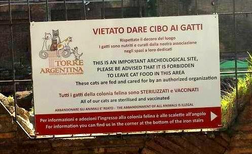 ASSOCIAÇÃO GATOS DI ROMA