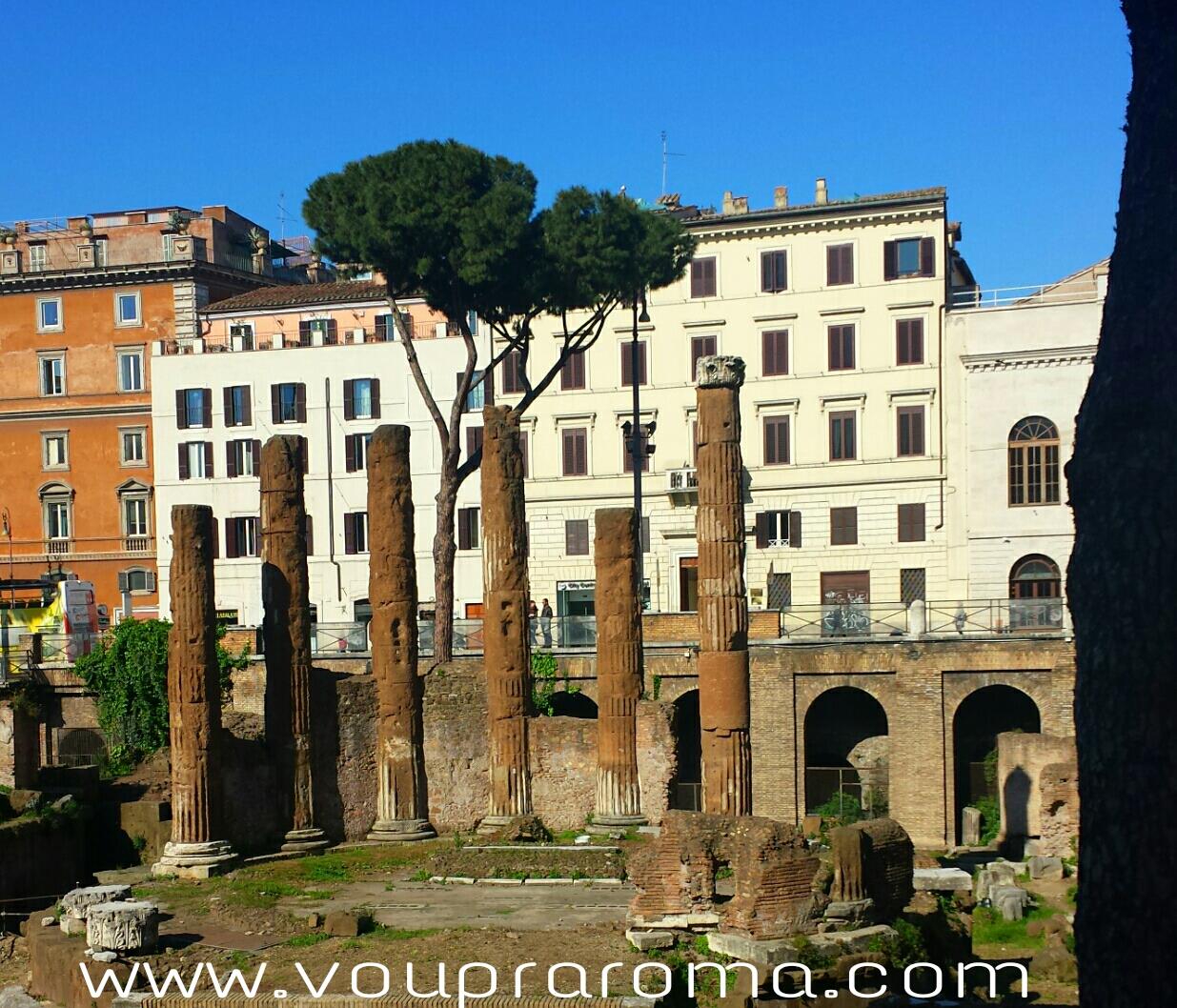 LARGO DI TORRE ARGENTINA - Roma 