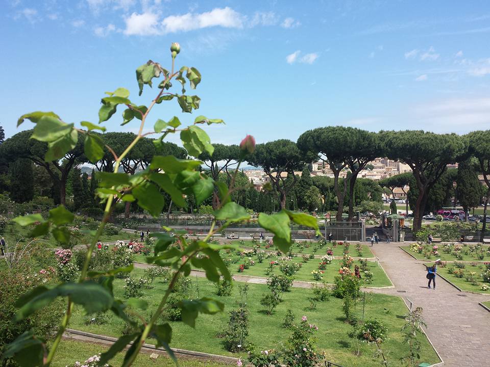 ROSETO COMUNALE  Roma - Blog Vou pra Roma