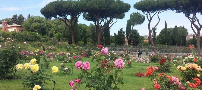 Roma para quem gosta de flores.