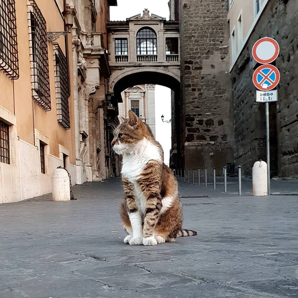 Largo de Torre Argentina - atração interessante em Roma