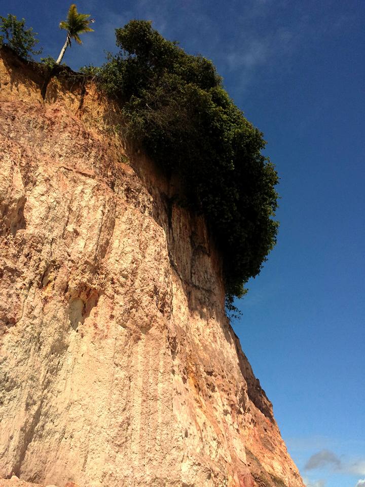 Praia da Pipa - Brasil Um Paraíso ecológico