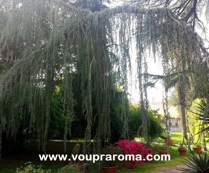 JARDIM BOTANICO ROMA - foto Ana Venticinque