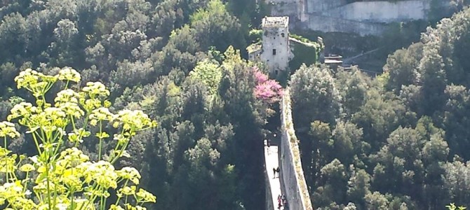 Bate e volta de Roma a Spoleto – Umbria.