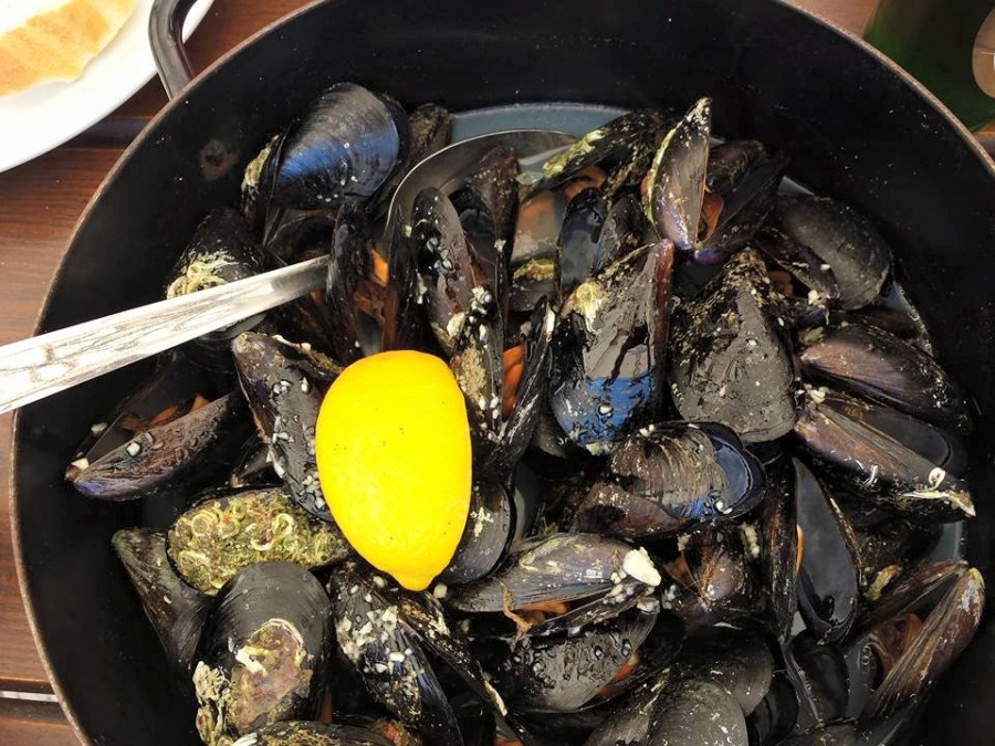 Top 10 dicas comidas imperdíveis em Roma - Cozze - Blog VoupraRoma